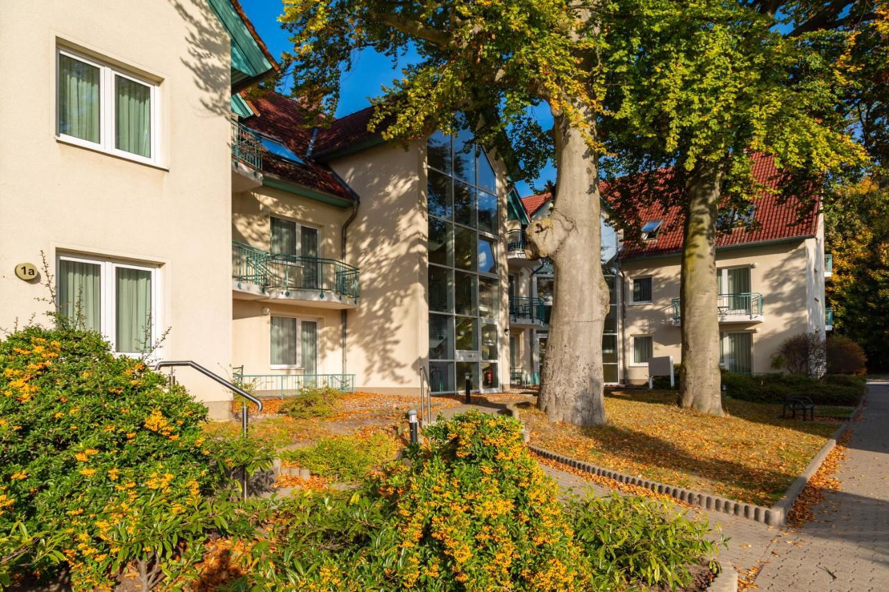 Apartment Ostseerose Ein Strandkorb Ist Im Sommer Inclusive 젤핀 외부 사진