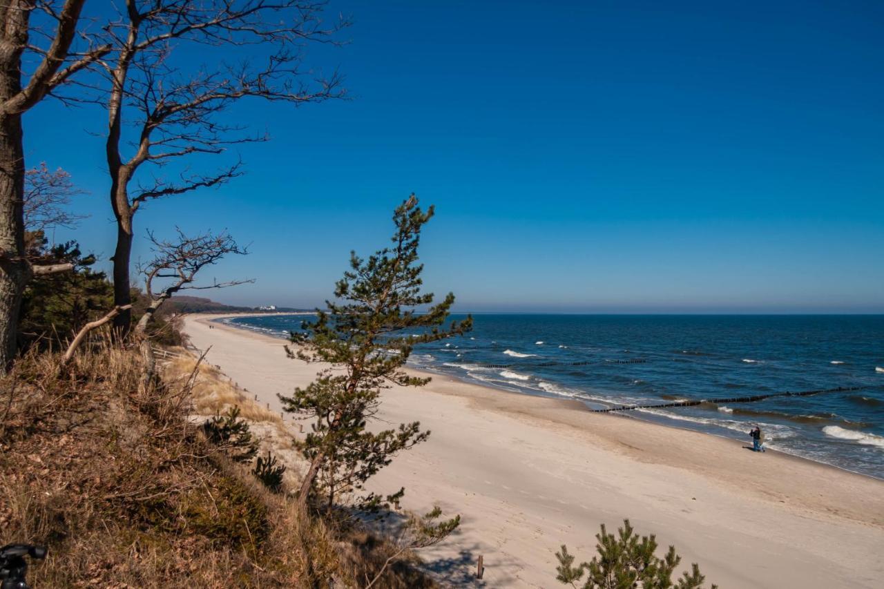 Apartment Ostseerose Ein Strandkorb Ist Im Sommer Inclusive 젤핀 외부 사진
